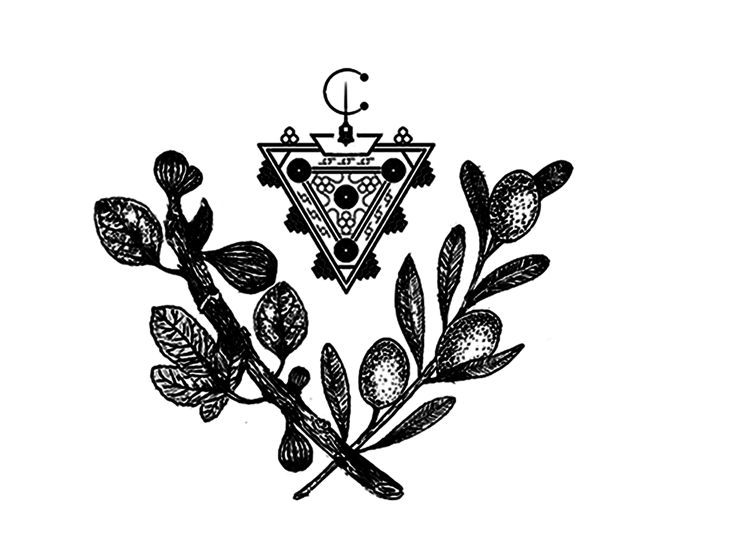 Logo 2